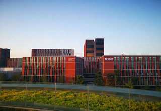 河北奇麟鲜品素材服务哪些好