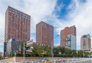 湖北5936塑料网带